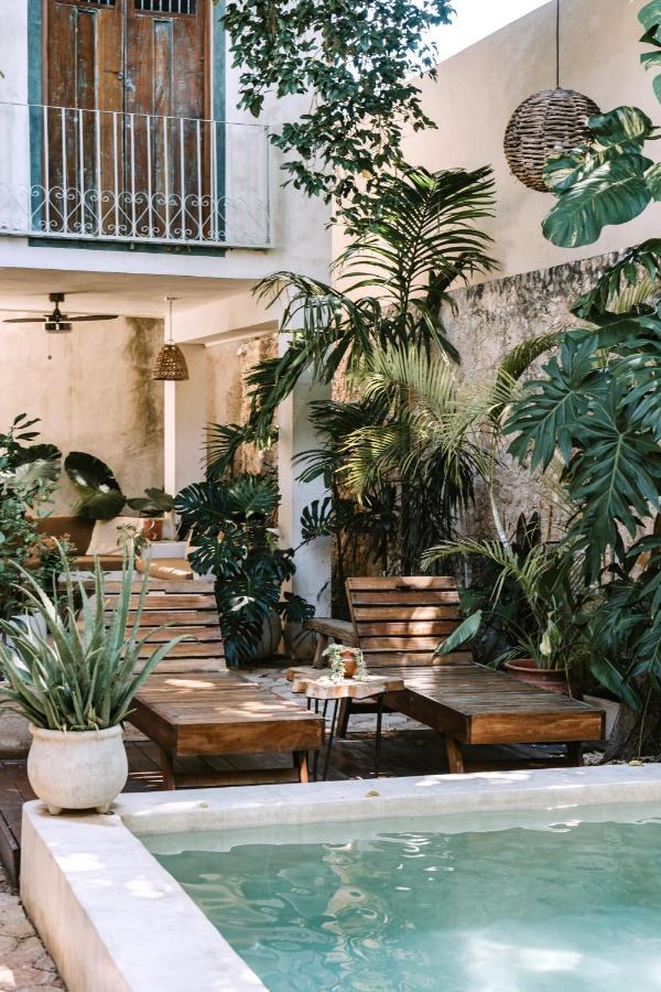 Casa Mezcla - Bed & Breakfast Merida Luaran gambar